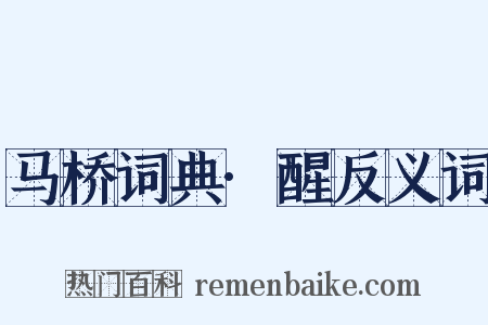 马桥词典·醒反义词是什么意思的图片